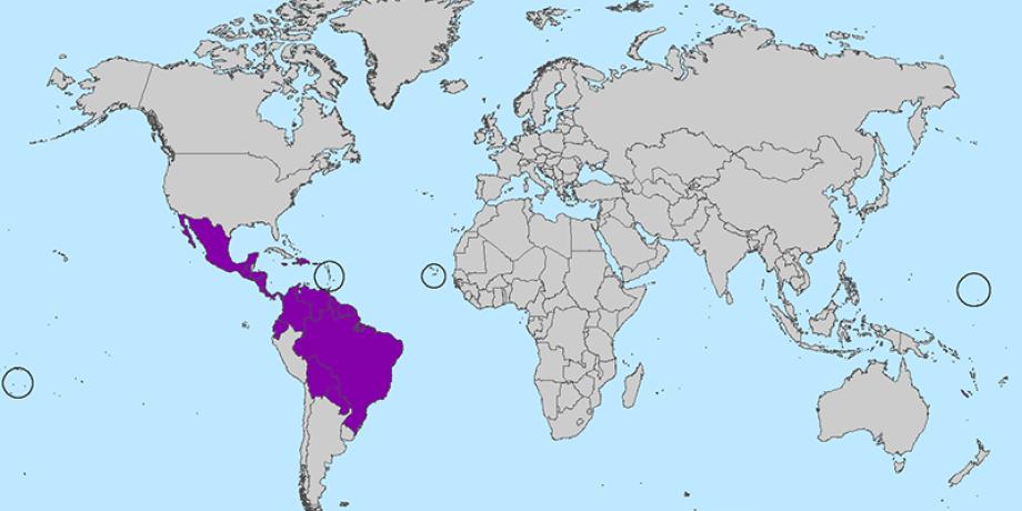 Zika-Virus world map