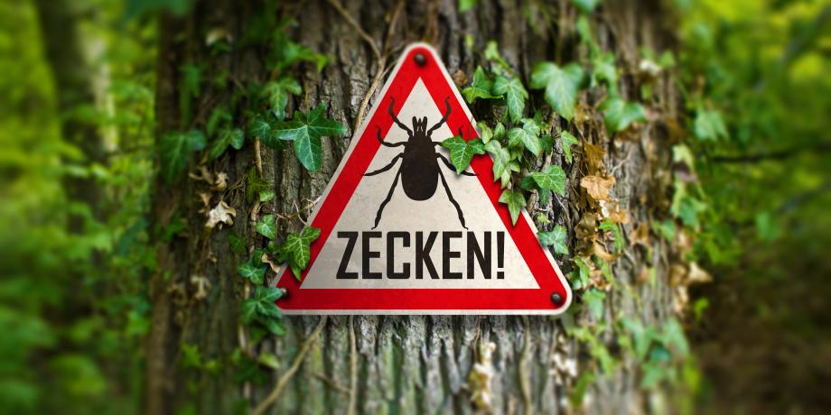 Zecken-Warnschild