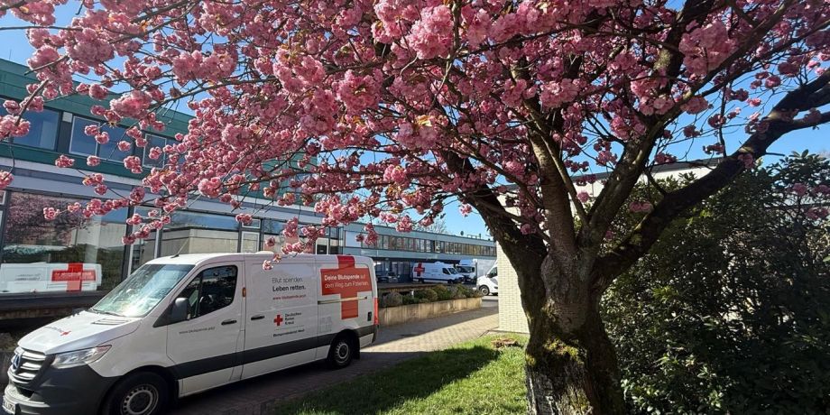 Blühender Kirschbaum vor dem ZTM Breitscheid