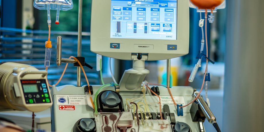 CAR-T-Zell-Therapie: Wie Immunzellen zu Krebsbekämpfern werden