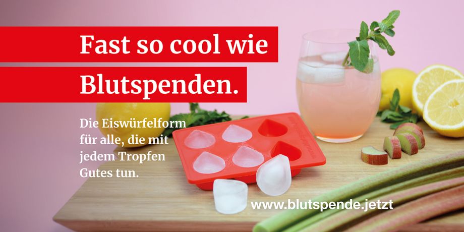 Eiswürfelform