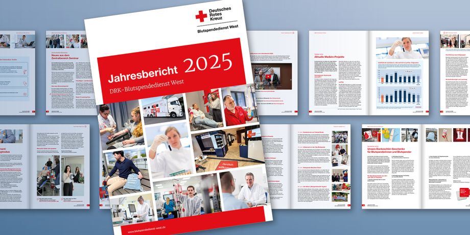 Jahresbericht 2025