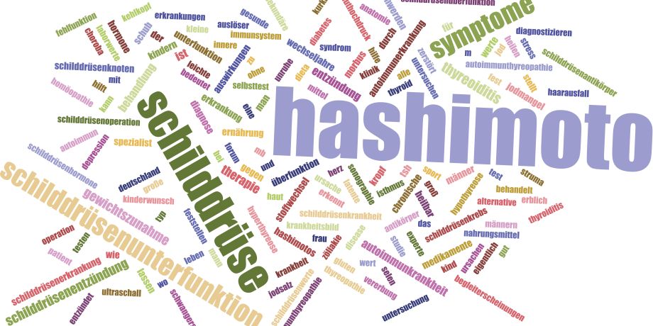 Hashimoto