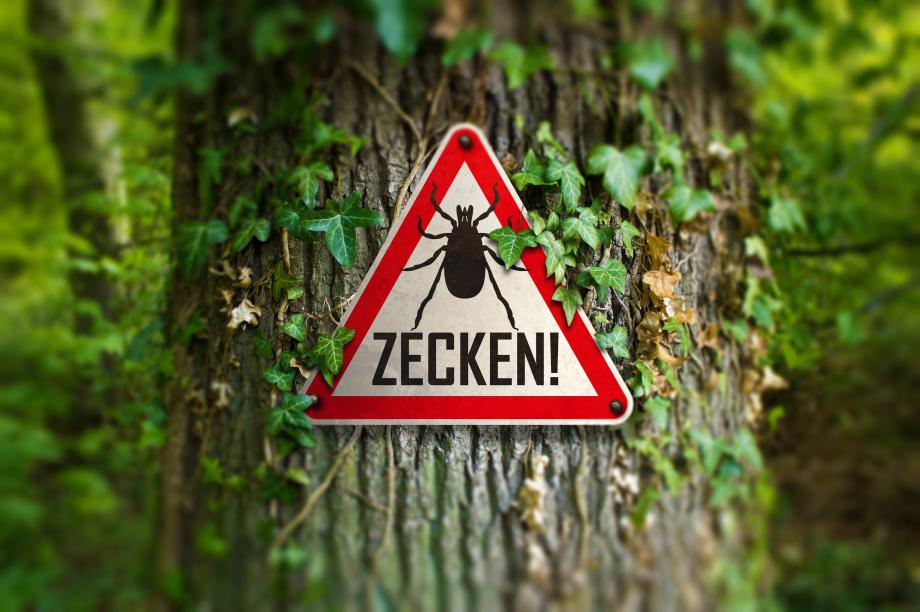 Zecken-Warnschild