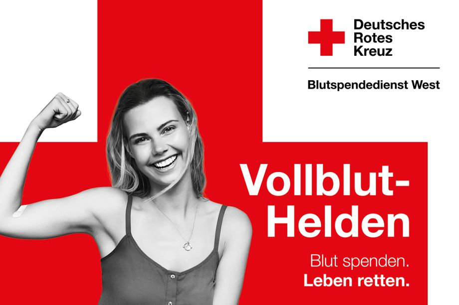Vollblut-Helden