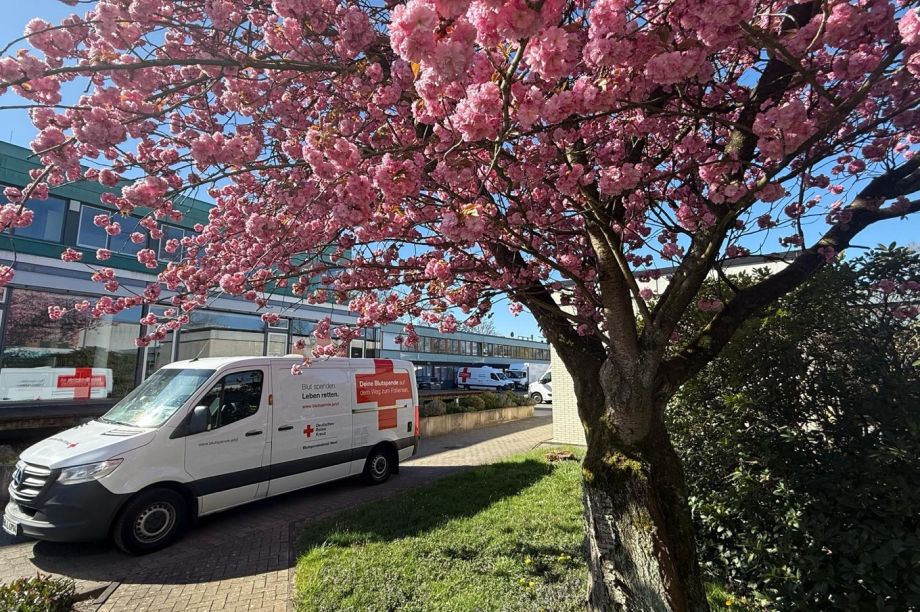 Blühender Kirschbaum vor dem ZTM Breitscheid