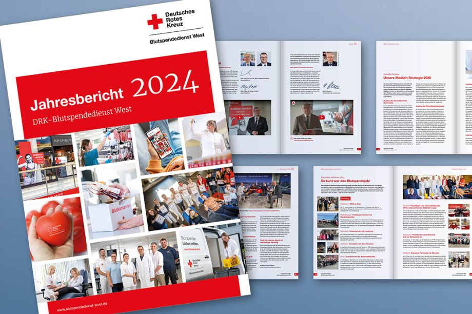 Jahresbericht 2025
