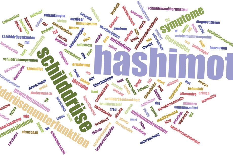 Hashimoto