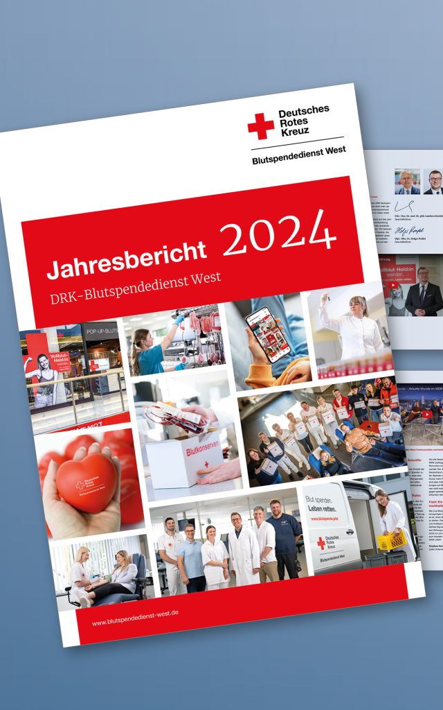 Jahresbericht 2025