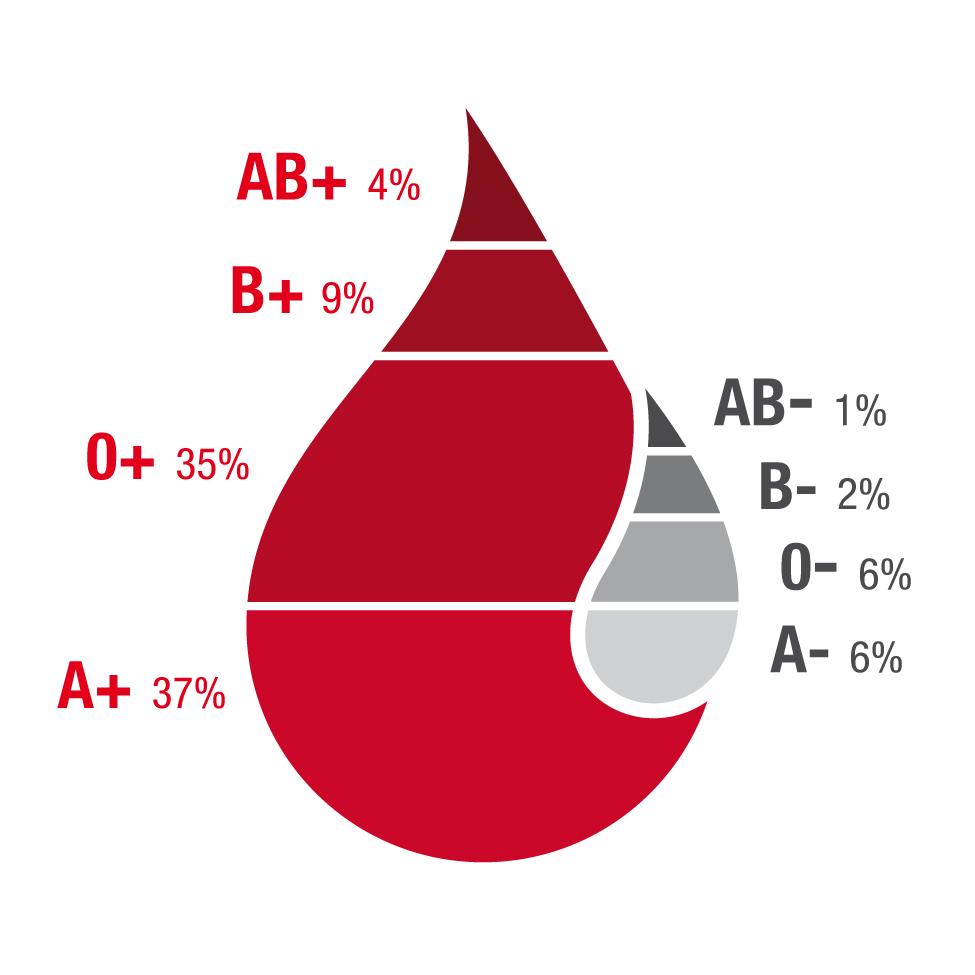 Verteilung der Blutgruppen