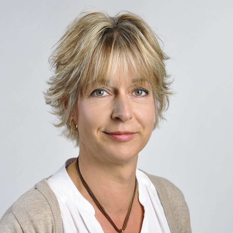 Lüttel neu