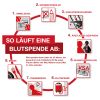 Infografik Ablauf einer Blutspende