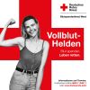 Vollblut-Held